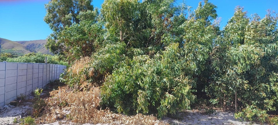 0 Bedroom Property for Sale in Franskraal Western Cape